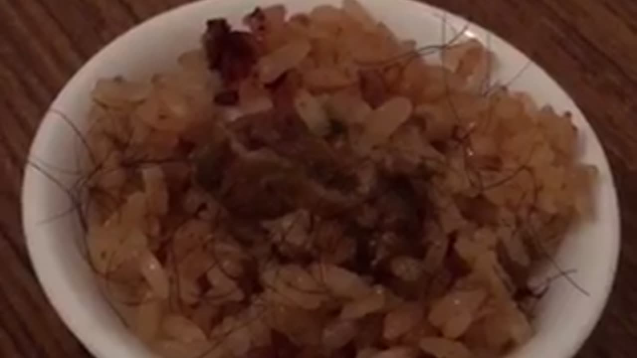 Japanese Curry Rice Recipe Hairy 05042023 🆂🆄🅱🆂🅲🆁🅸🅱🅴 ⚠️Viewer discretion is advised⚠️