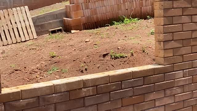 Tijolos Ecológicos, como instalar as janelas . Ecological Bricks, how to install the windows.