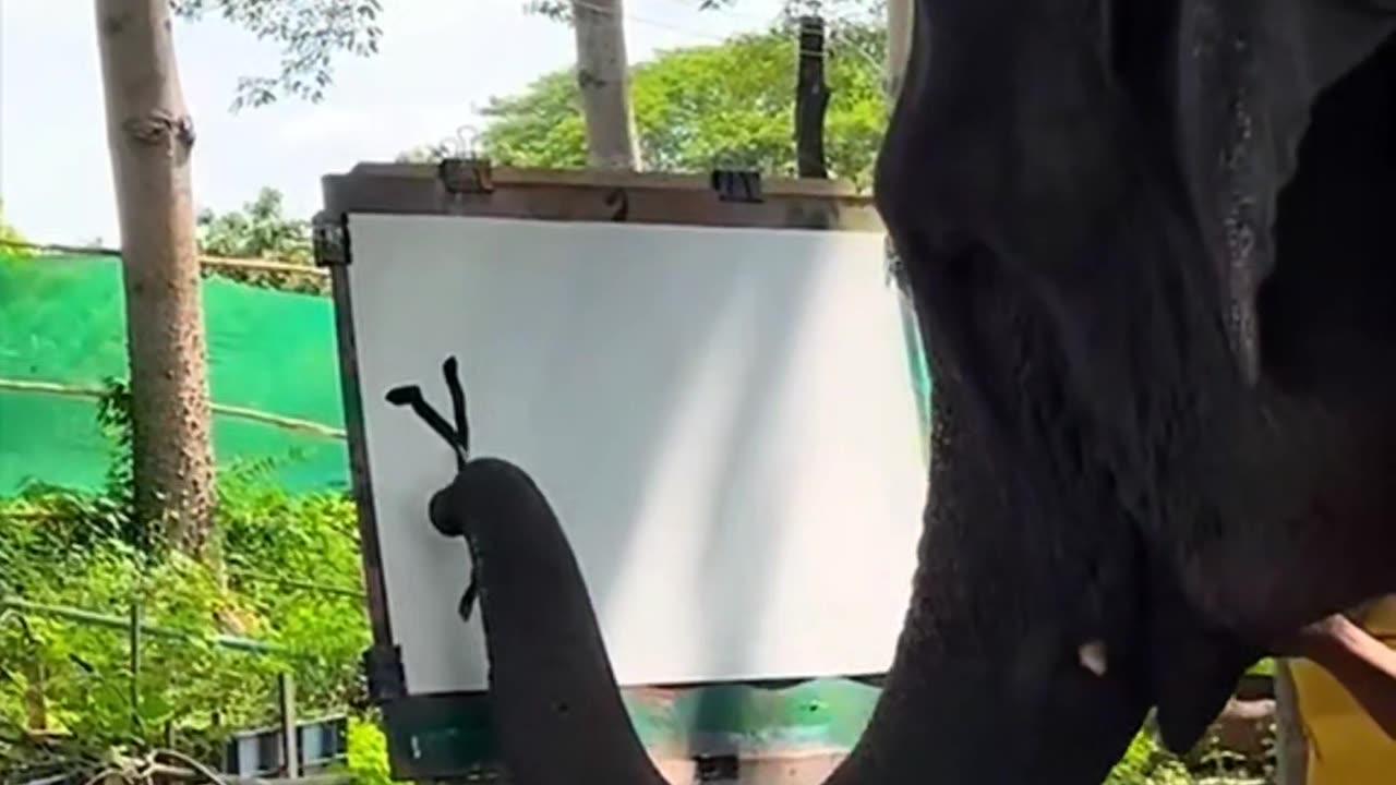 The elephant that can paint