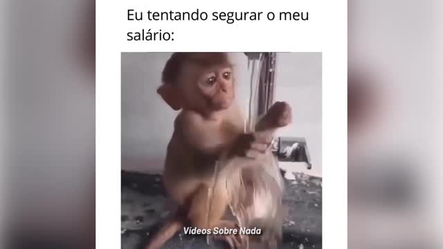 EU TENTANDO SEGURAR O MEU SALÁRIO