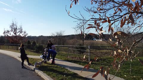 Sarah and Chris' neighborhood with Mason picking acorns with Grandma and Auntie - Drone flyover