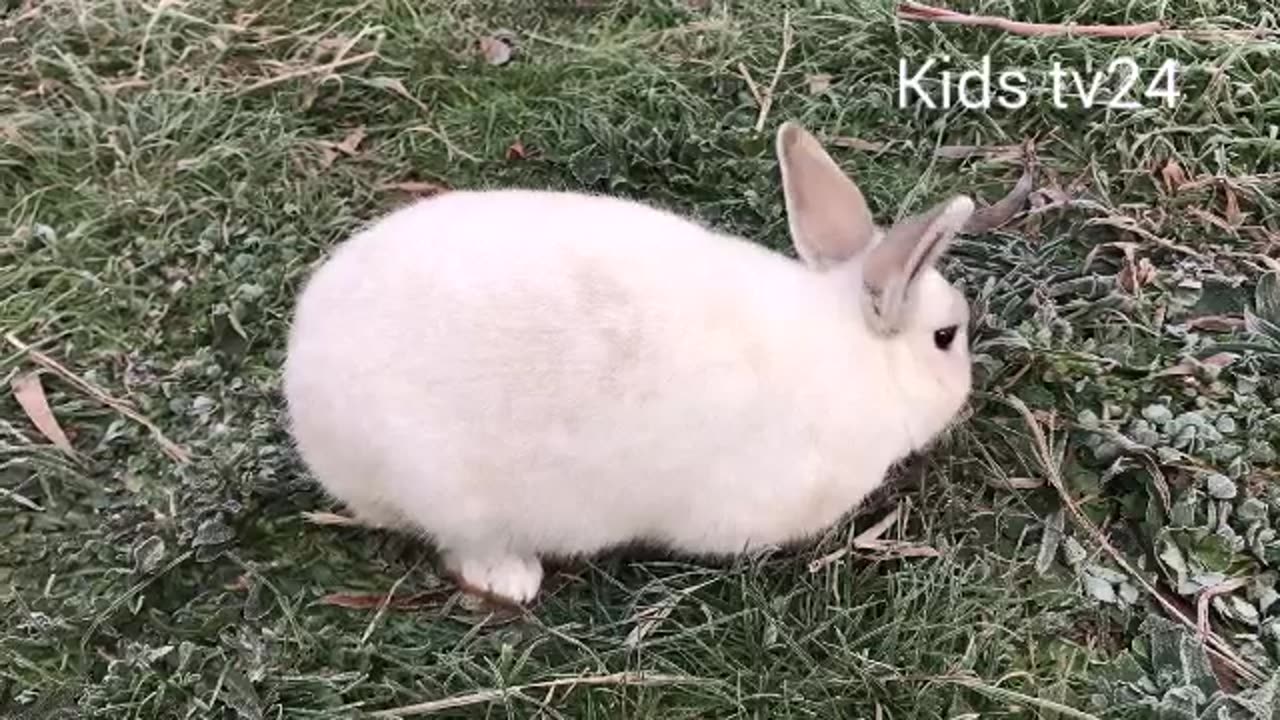 القرآن الكريم