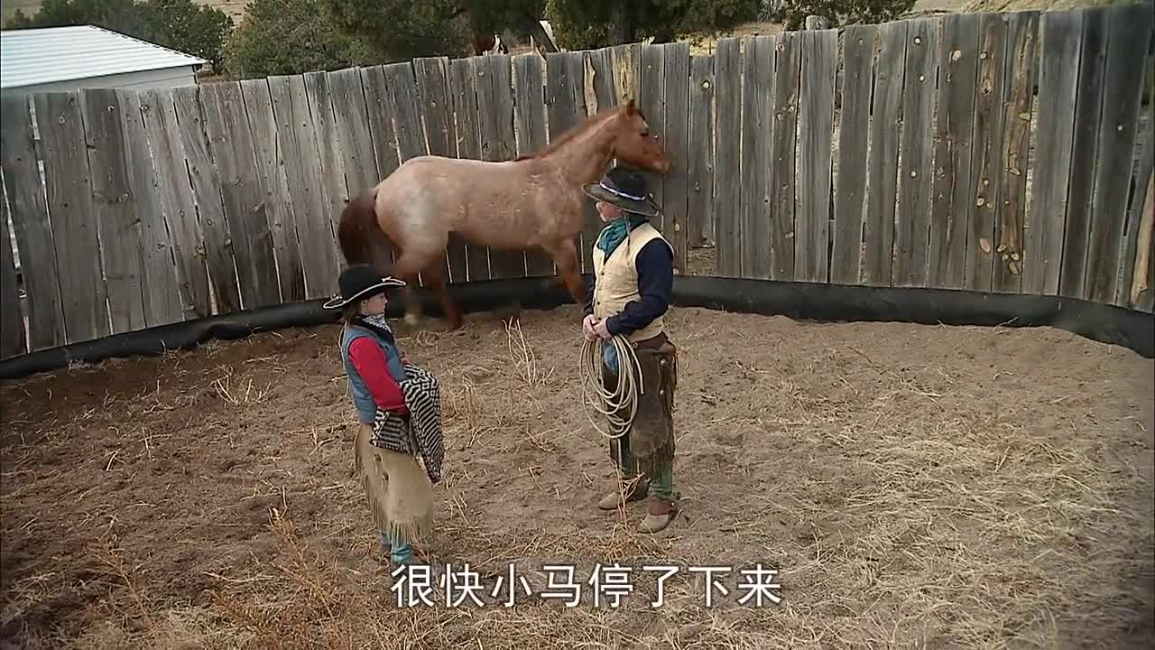 The ten-year-old hunter tamed the horse