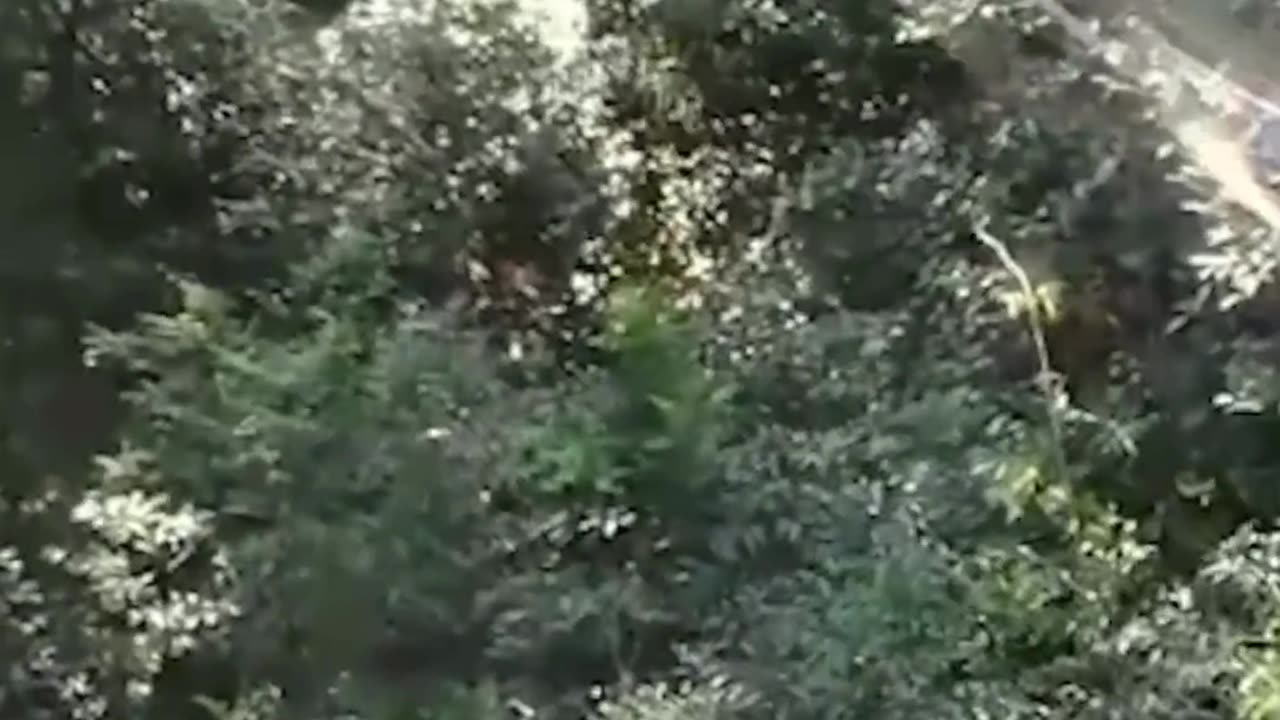The End 😂😂😂 #viral #shorts #reels #funny #fails