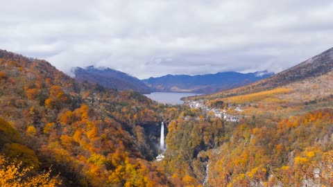 Enchanting Autumn Forests with Beautiful Piano Music