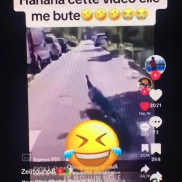 FRANCE cops surrender / chaos animals etc