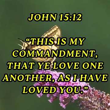 This is my commandment, That ye love one another, as I have loved you