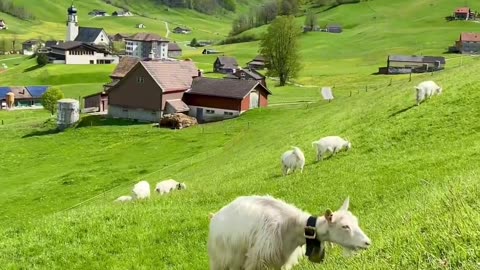 The most beautiful mountain view, linger