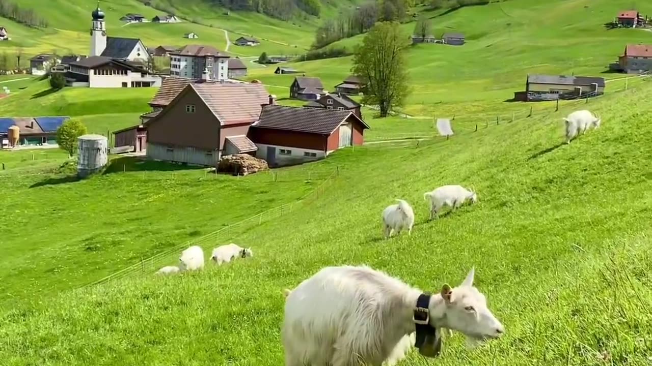 The most beautiful mountain view, linger