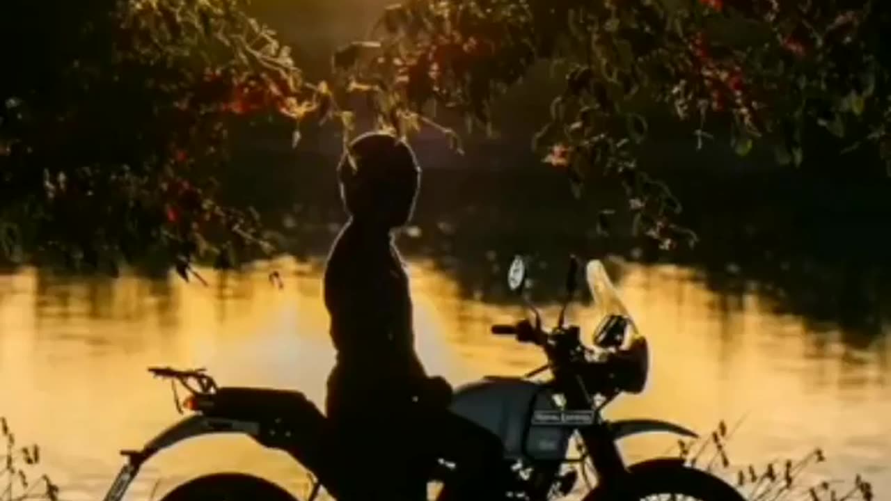 My favourite bike