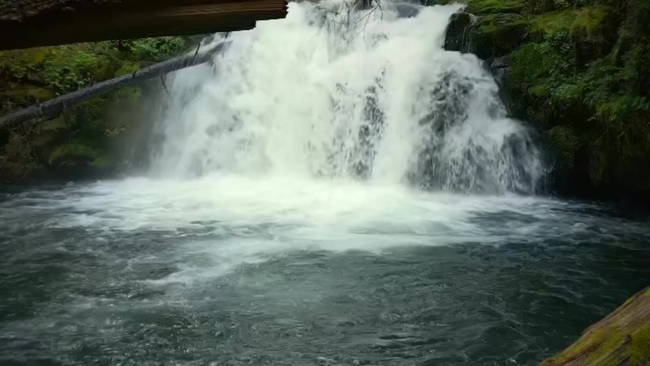 😘 🌤️ BONITO 🏞️ BOSQUE 😊 ARMONIOSO.👍