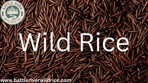 Wild Rice