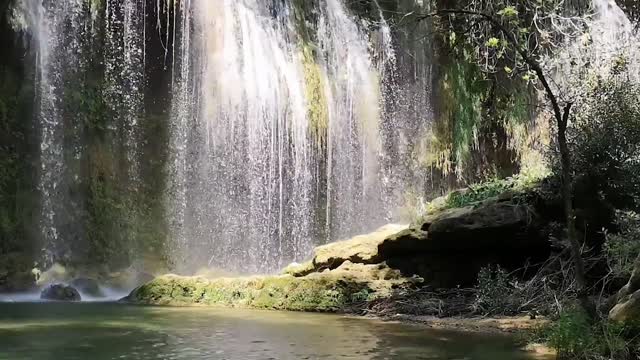 Relaxing Music with Water Sounds • Peaceful Ambience for Spa, Yoga and Relaxation