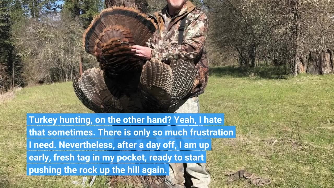 I Love Turkey Hunting Even Though I Hate it