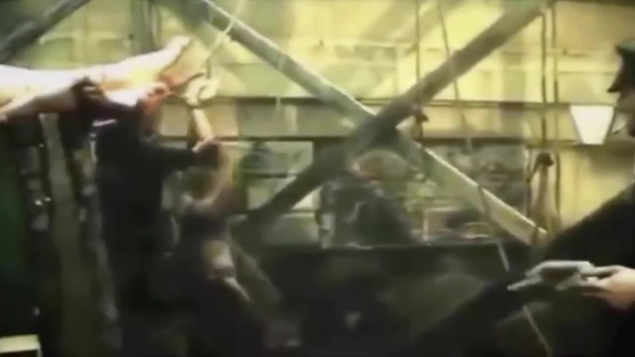 Exterminated for not being a jewish slave