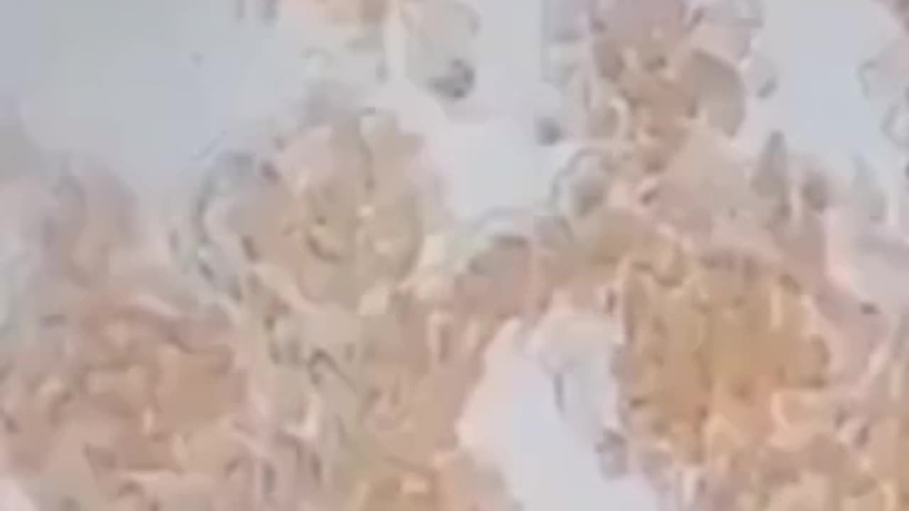 How sexual intercourse between an unvaccinated person and a vaccinated