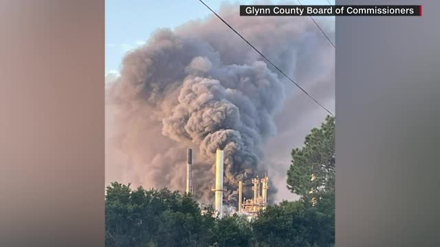 Georgia: Brunswick plant fire