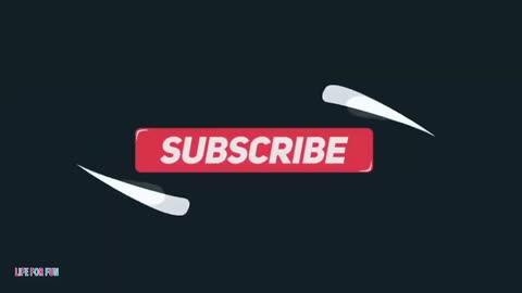 Приколы / Смешные Видео / Смешные видео животные и люди / смешные животные