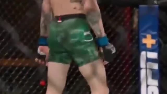 Sean o'malley best knockouts