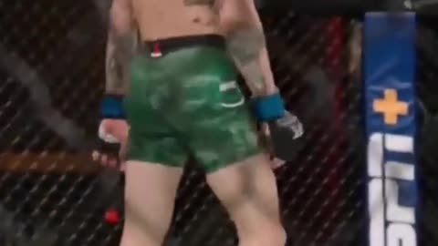 Sean o'malley best knockouts