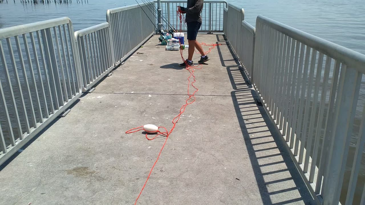 This kid almost had a 6 ft shark