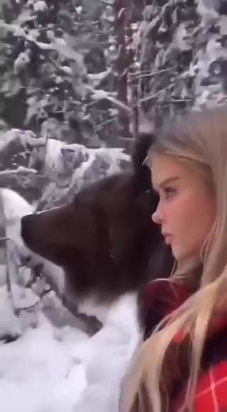 🧑‍🎄🎄🫎 🎄🎅🏼🥂 Merry Christmas Roarrr!