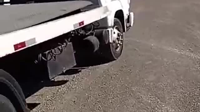 Malvadão guincho auto socorro