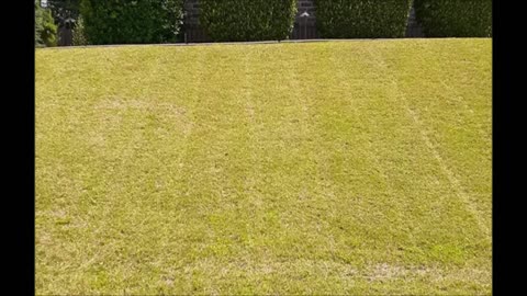 John's Lawn Care of Northeast Georgia - (706) 239-5578