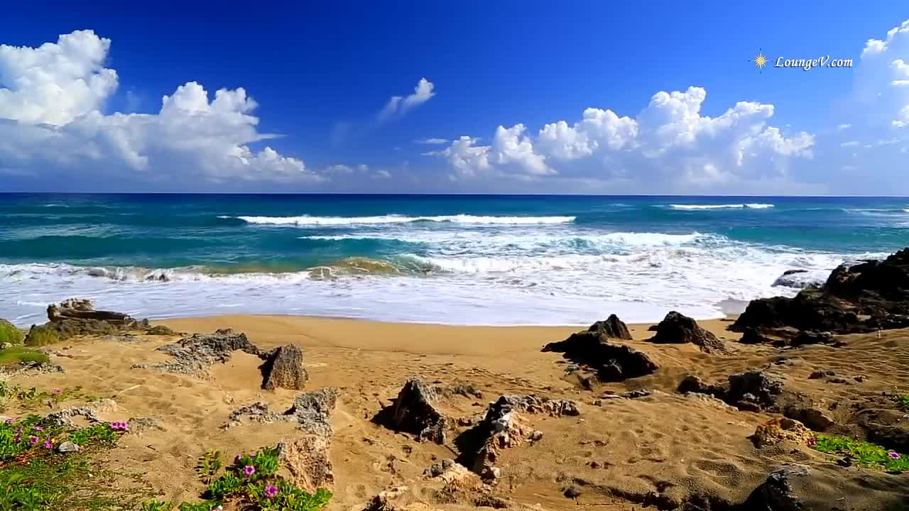 Beautiful Relaxing Music • Peaceful Piano Music