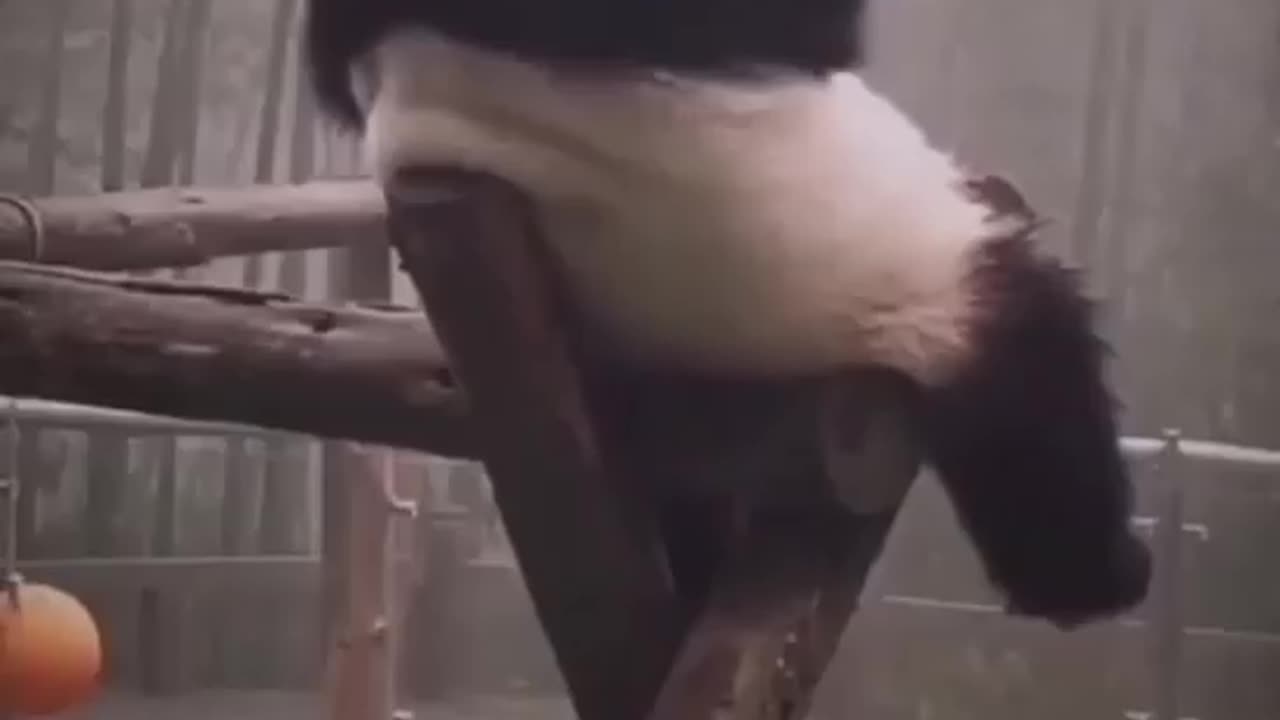 Alone But Happy ❣️