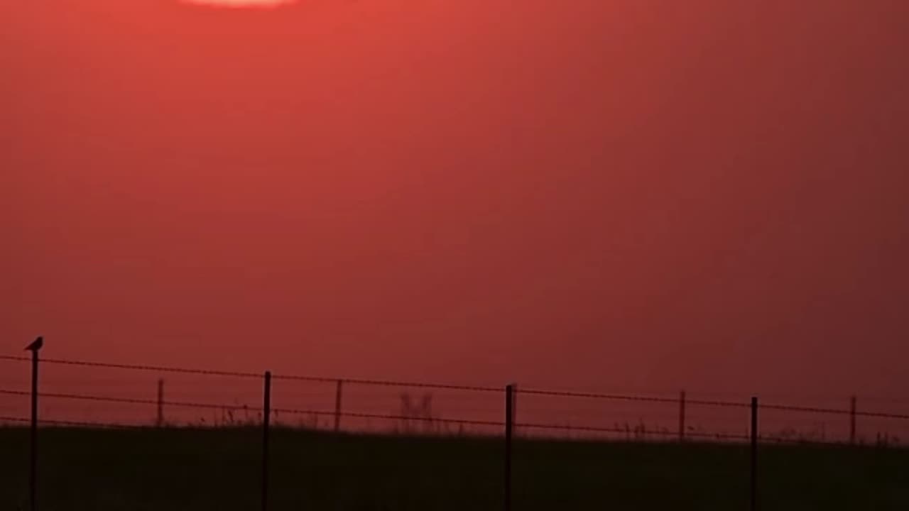 Countryside Bliss: Bird Songs, Sunset Serenity, and Fence Post Musings 🌅