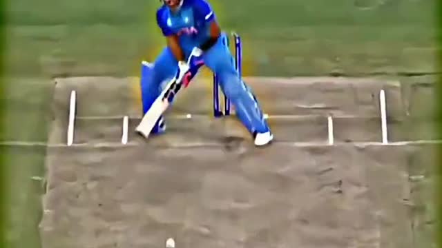 Cricket shot videos