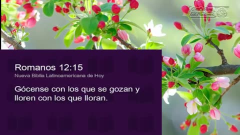 Gozaos con los que se gozan; llorad con los que lloran. Rom.1215-Devocional