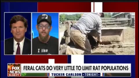 Tucker Carlson Tonight 11/24/22