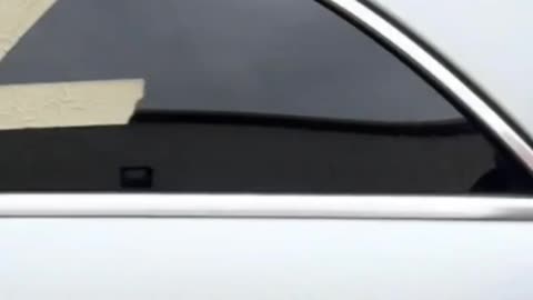 Ukrokhohol Decided To Show The Mexican WHO Stuck The Letter Z On A Car