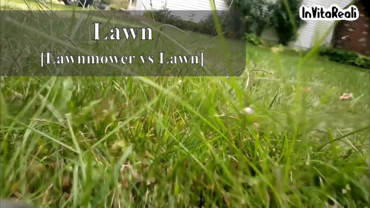 Lawn VS Lawnmower