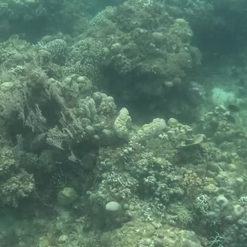 Perfect Day for a Snorkeling Adventure!