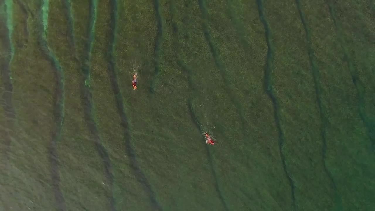 Surfer Catching A Wave in Turquoise Waters