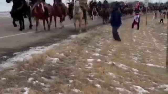 Coutts border, the cowboys are running hot for freedom.