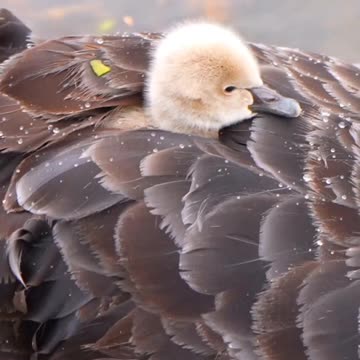 Fragile. Handle with care 😊😊