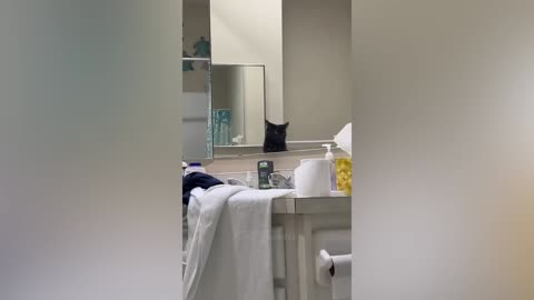 Best Funny Animal Videos Of The 2023 🤣 - Funniest Cats And Dogs Videos 😺😍 (56)