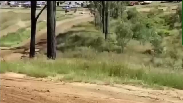 cr125 Queensland Moto Park