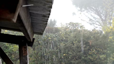 Rainy Day Comfort: Soothing Sounds for Stress Relief