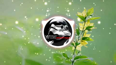 Patrick Patriko - Forget Me Not - Free Background music Musica sem Direitos Autorais WTNationproject