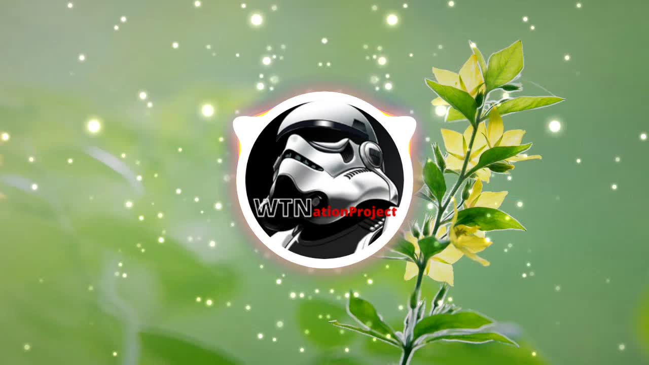 Patrick Patriko - Forget Me Not - Free Background music Musica sem Direitos Autorais WTNationproject