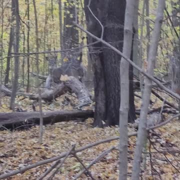 Karen and her friends starting trouble.