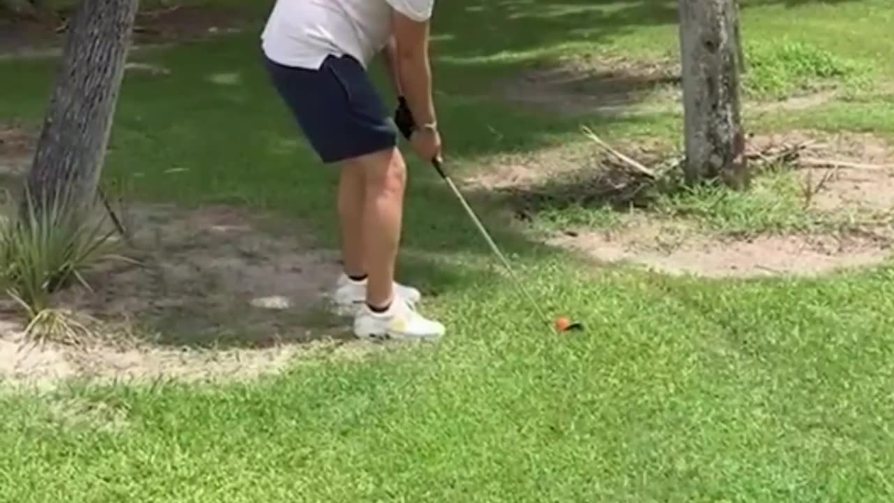 Crazy and Funny Videos!