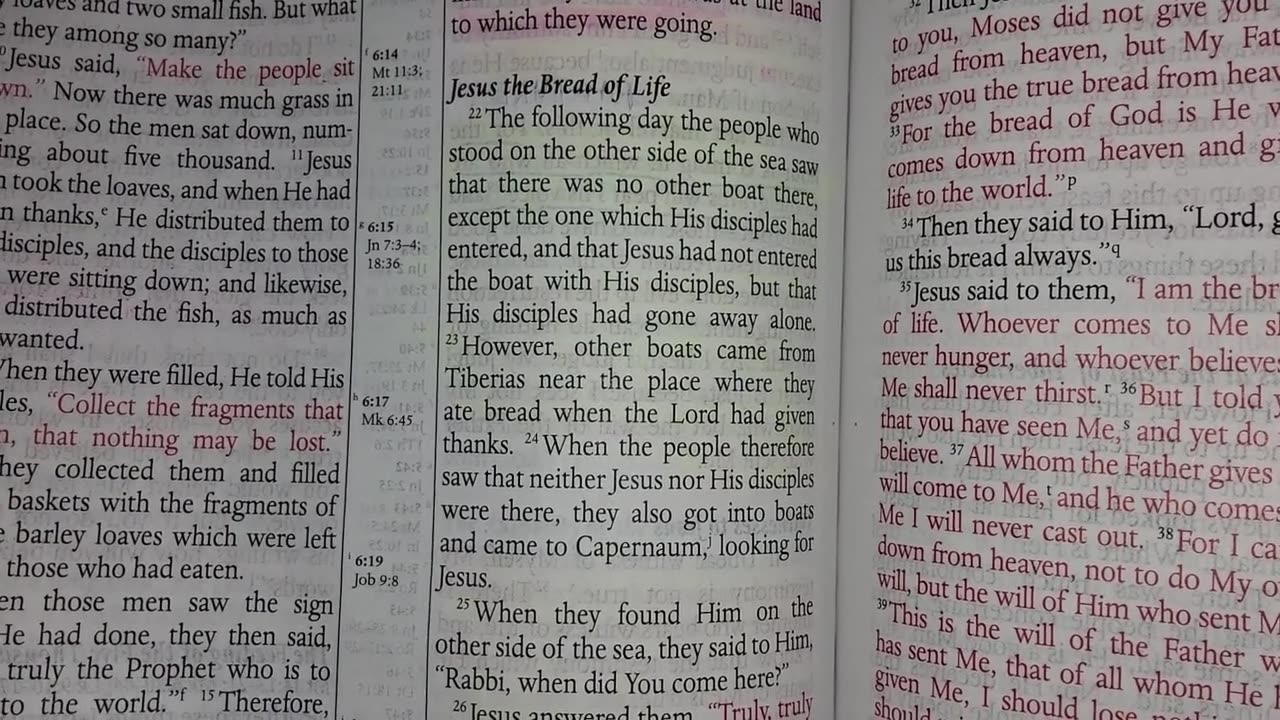 John 6 - MEV Bible