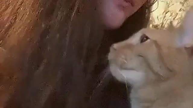 Let me teach you about cat kisses