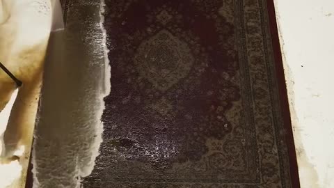 Washing the dirty carpet